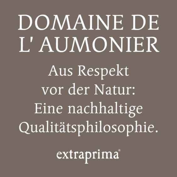 Alternative Texte eintragen.