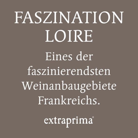 Alternative Texte eintragen.