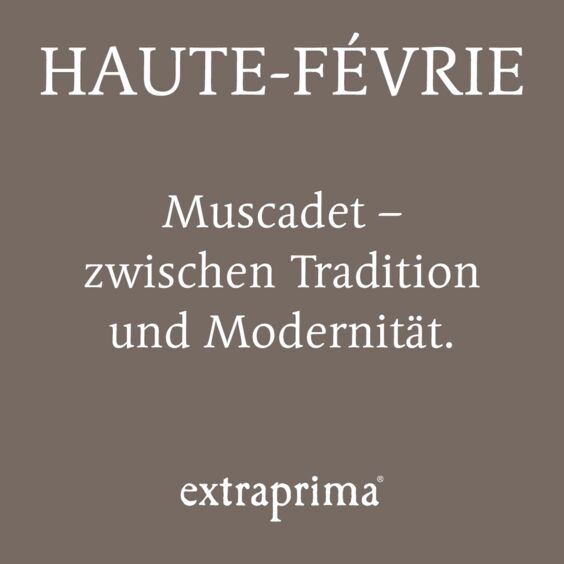 Alternative Texte eintragen.
