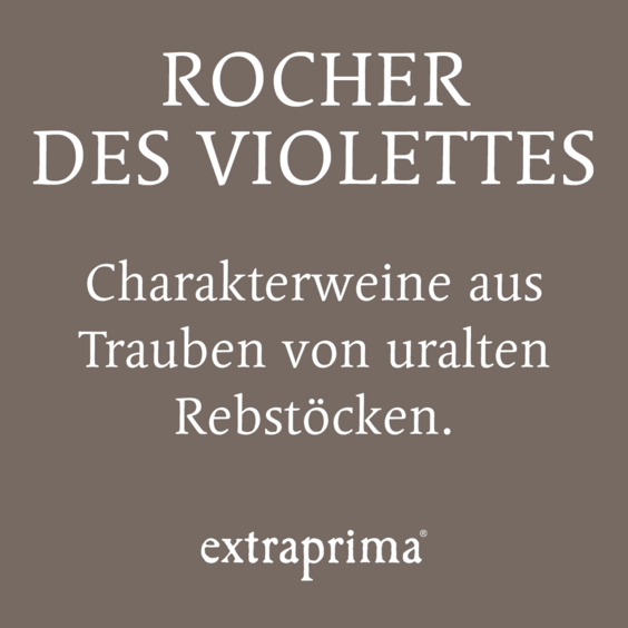 Alternative Texte eintragen.