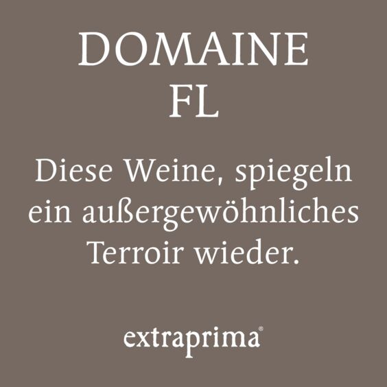 Alternative Texte eintragen.